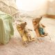thumbnail image 2 of Mini muñeca de ratón hecha a mano, casa familiar de peluche, animales pequeños, cochecito de bebé, juguetes de tela, regalo de Año Nuevo para niños, 2 of 4