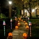 thumbnail image 4 of Decoraciones de Halloween, luces solares con estaca para suelo, luces LED decorativas de Halloween con forma de calabaza, bruja o fantasma, luces de cadena para crear un ambiente espeluznante en festi, 4 of 6