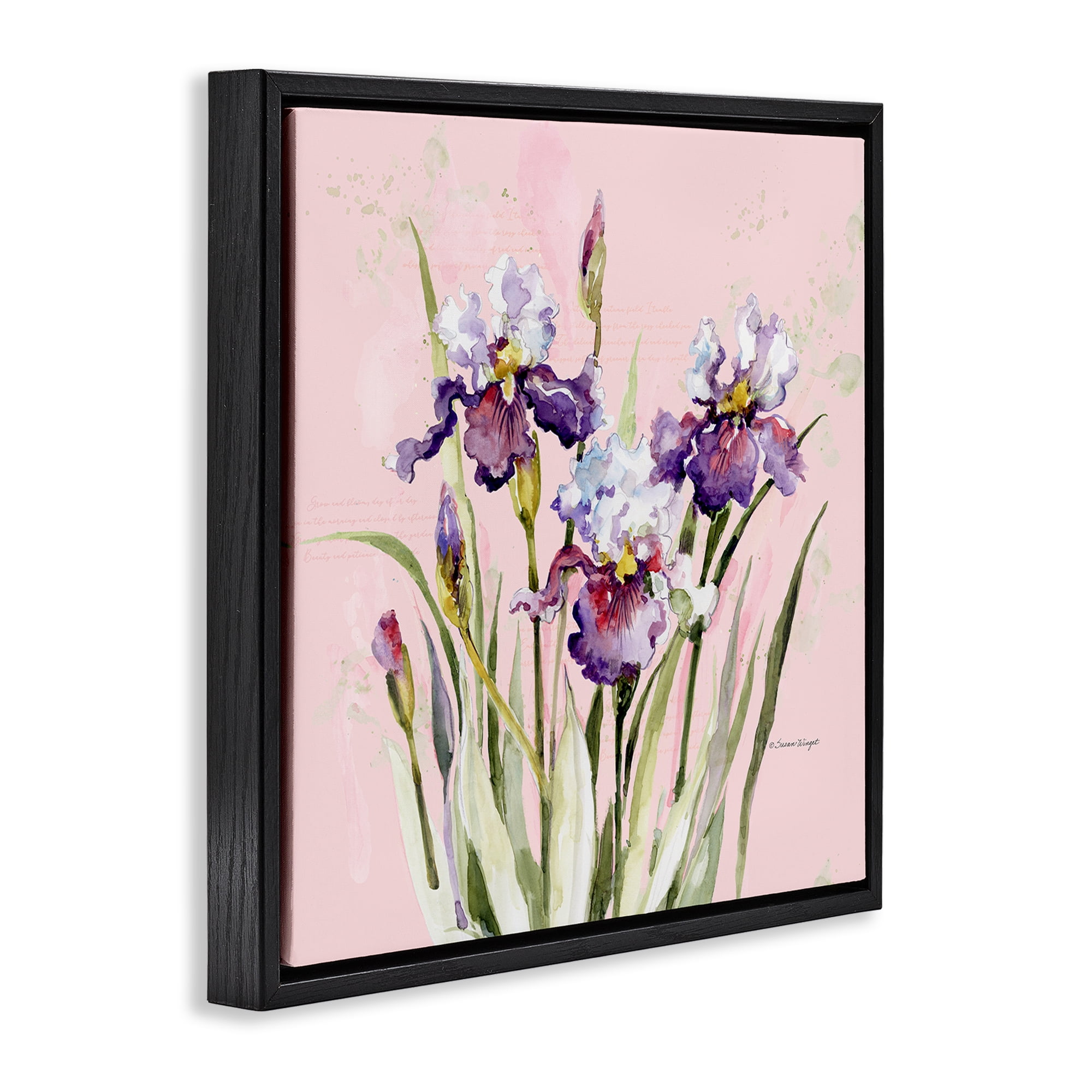 Stupell Industries Purple Irises on Pink Black Framed Floater Canvas Wall Art, design by Susan Winget