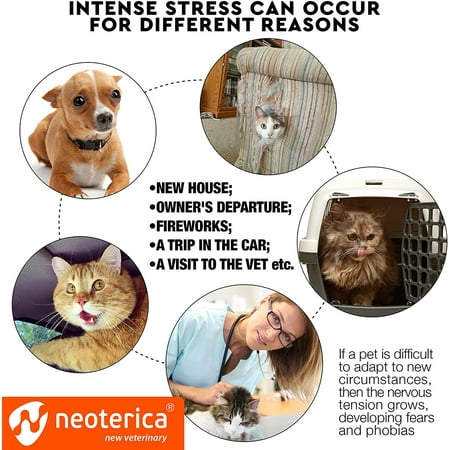 Beloved Pets Calming Pheromone Spray & Scratch Repellent for Cats - Reduce Scratching Furniture, Pee - During Travel, Fireworks, Thunder, Vet Zone - Helps to Relief Stress, Fighting, Hiding