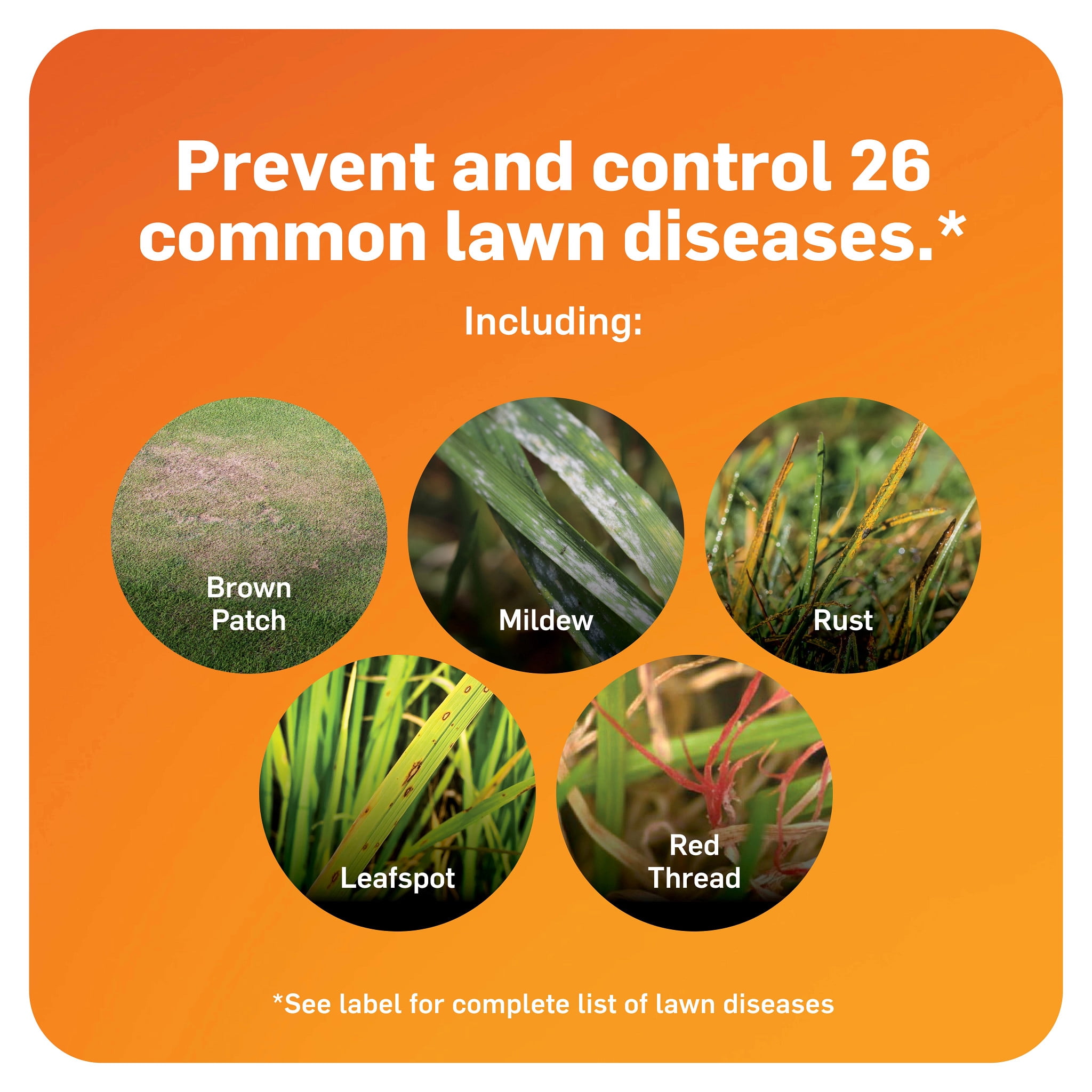 Scotts DiseaseEx Lawn Fungicide for Brown Patch and Pythium Blight, 10 lbs.