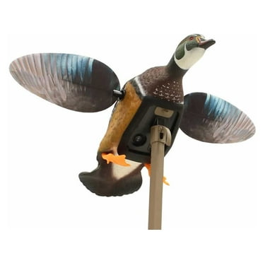 Mojo Outdoors, Elite Series Wood Duck Waterfowl, Duck Decoy, HW2472, 1 Piece, 3.5 Pounds Assembled