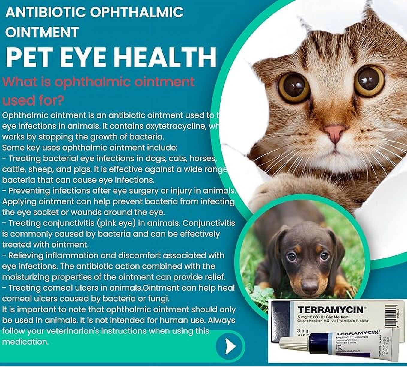 Paaisye Terramycin Eye Wipes - For Cats, Dogs & Horses - Antiseptic ...