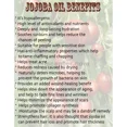 thumbnail image 3 of Jojoba oil golden organic carrier unrefined cold pressed raw virgin pure by H&B OILS CENTER 4 oz, 3 of 4
