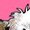 Hot Pink, variant on Inktastic Havanese Puppy Boys or Girls Long Sleeve Toddler T-Shirt