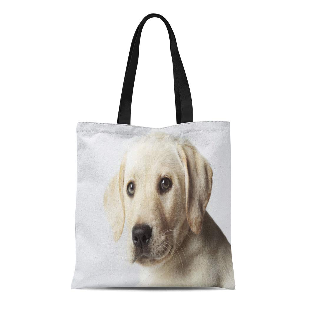 HATIART Canvas Tote Bag Dogs Portrait of Blond Labrador Retriever