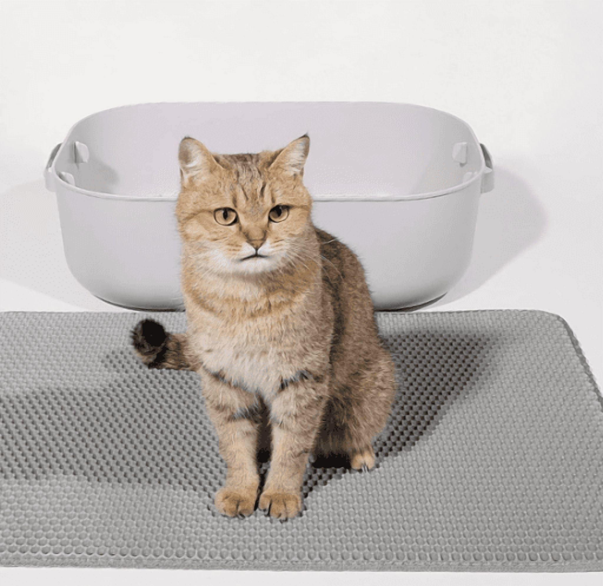 Cat Litter Mat, 45x26 Inch Extra Large&Long Double Layer Cat Litter Box Mat, EVA Non-Slip, Waterproof Urine Proof Cat Litter Catcher Mat, Easy Clean Scatter Control (45x26 Inch, Khaki)