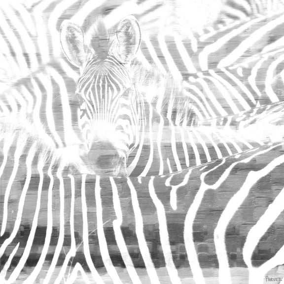 Parvez Taj "Zebra Stare" Print on Canvas