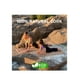 thumbnail image 4 of TAPETE DE CORCHO PARA YOGA HEAD, 4 of 5