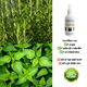 thumbnail image 4 of Tónico Capilar Anticaída De Cabello y Caspa 250ml, 4 of 4