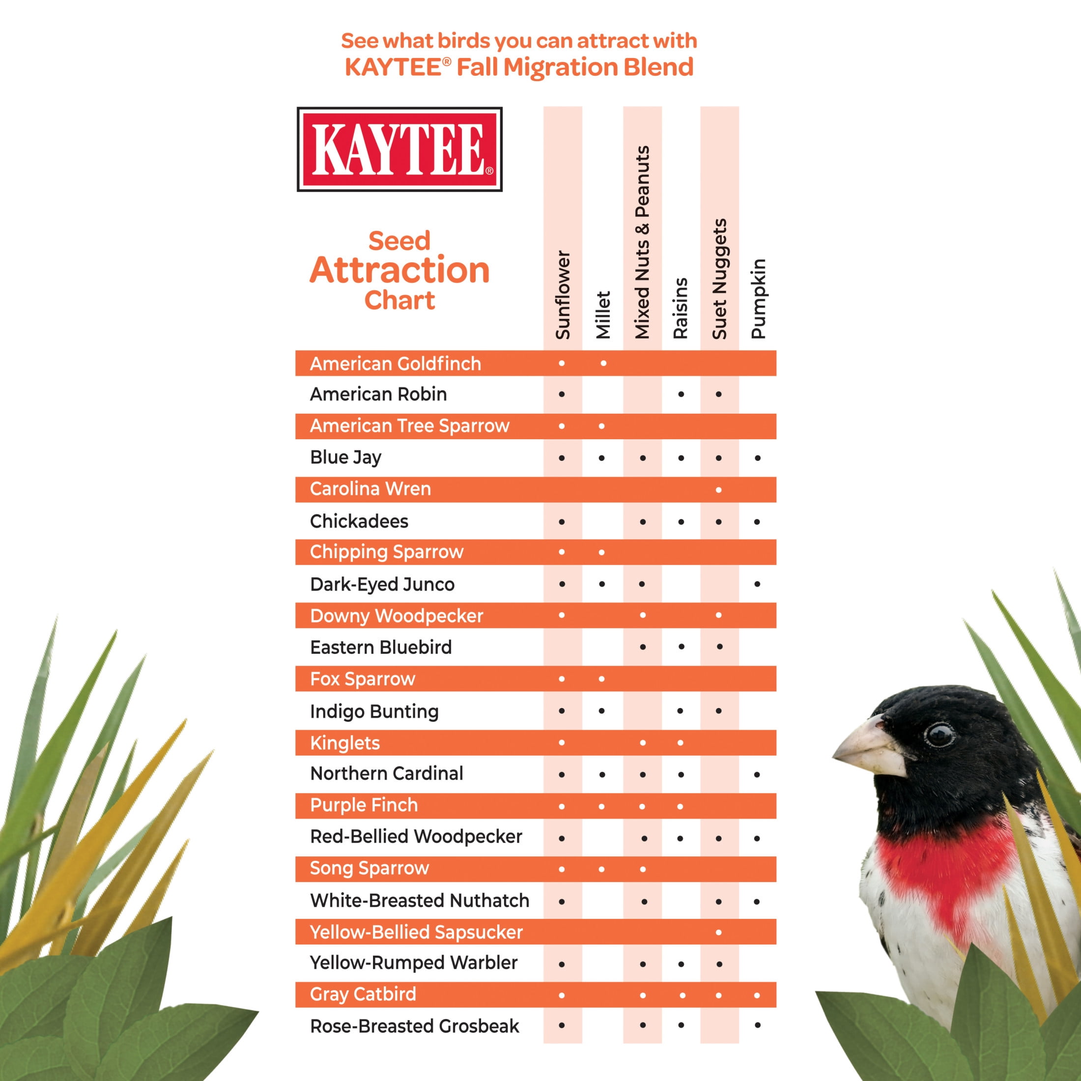 Kaytee Fall Migration Blend Wild Bird Feed 8 lbs