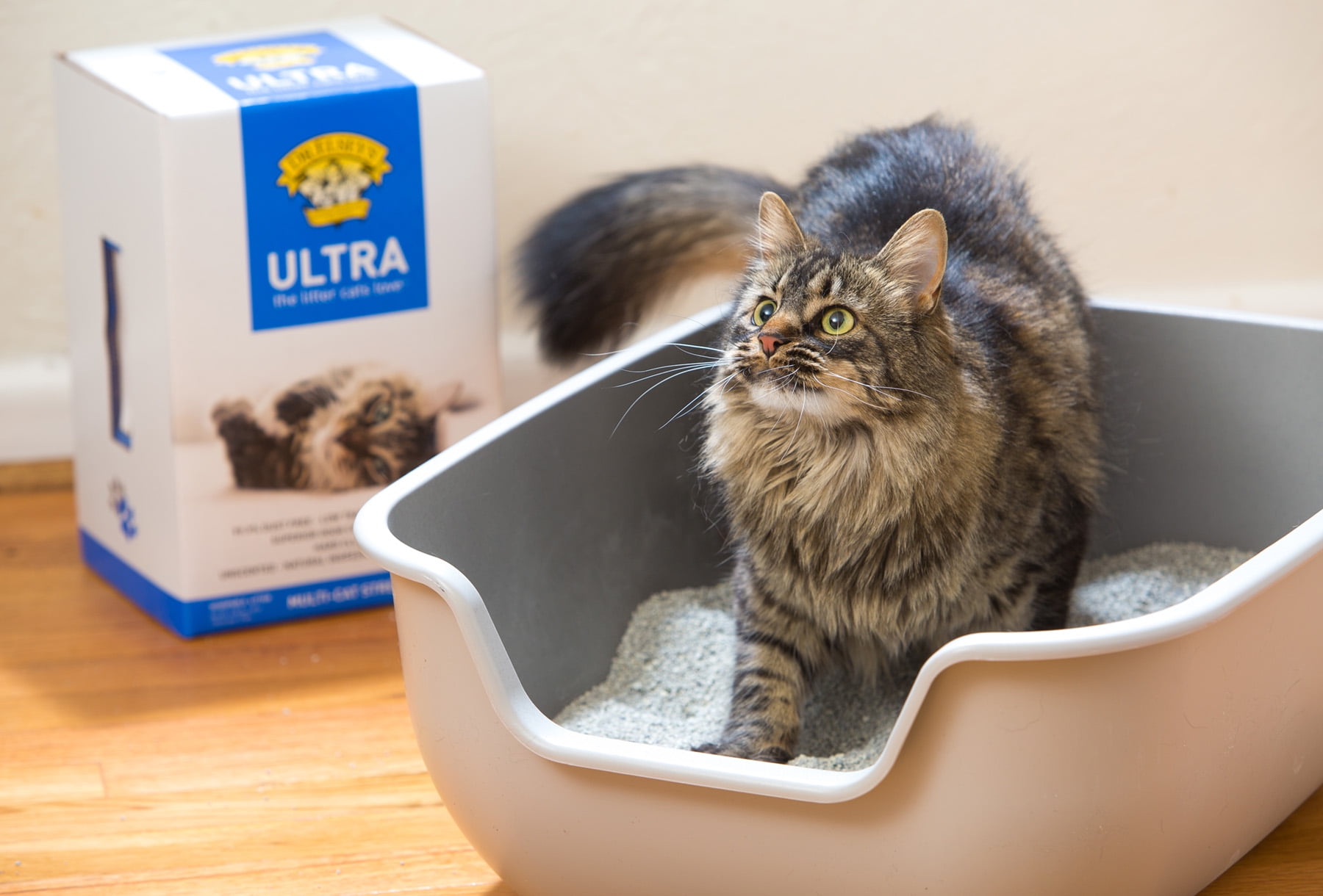 Dr. Elsey's R&R® Respiratory Relief Clumping Clay Cat Litter