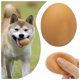 thumbnail image 5 of Huevos Chirriantes Para Perros Bola Juguetes De Vinilo Para Perros Suaves Interactivos Atrapar Jugar Bola Simulación Huevos Juguetes Chirriantes, 5 of 5