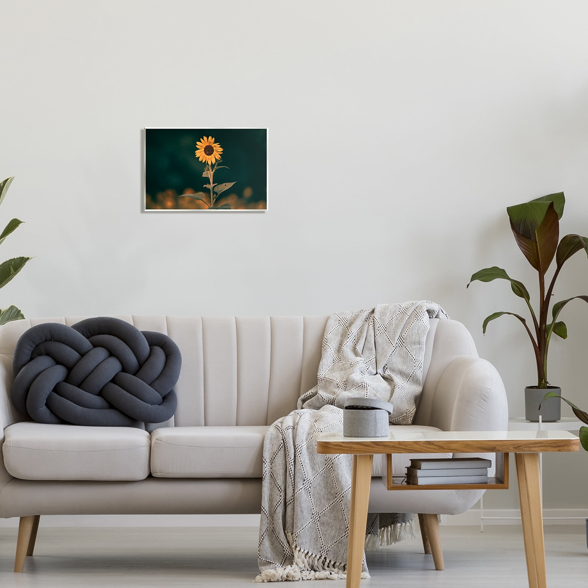 Stupell Industries Dark Sunflower Nature Botanical & Floral Photography Unframed Art Print Wall Art, 15 x 10