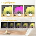 thumbnail image 4 of iPower 1 Tube Full Spectrum LED Grow Light for Indoor Plant, Clip Growing Lamp with 3 Light Modes&10 Dimmable Levels, Auto On Off Timing 6H/9H/12H, Red&Blue+Yellow, 2 Pack, 4 of 7