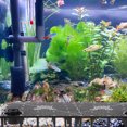 thumbnail image 4 of EeaseCA 12Pcs Aquarium Isolation Plates Bottom Filter Plate Fish Tank Filter Supplies, 4 of 8