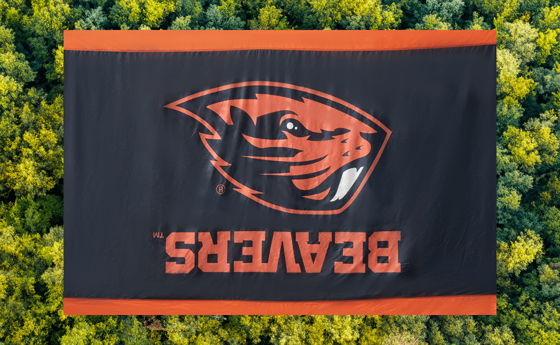 Rincon Official Oregon Beavers Hammock - Portable Hammock Single or Double Hammock, Indoor & Outdoor w/Tree Straps Camping Hammock