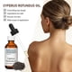 thumbnail image 5 of 100% Pure Cyperus Rotundus Oil for Hair Removal 60ml, 5 of 5
