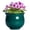 Blackish Green, variant on Ordivic 6 Inch Black Ceramic Self Watering African Violet Pot with Absorbent Inner Pot – Round Planter for Indoor Plants, Home Decor, Gift for Plant Lover