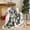 Dark Grey, variant on Christmas Throw Blanket Light Grey Picnic Blankets for Couch Winter Blankets with Golden Snowflake Printed Soft Microfiber Blanket Travel Outdoor Camping Blanket 50x60 Inches