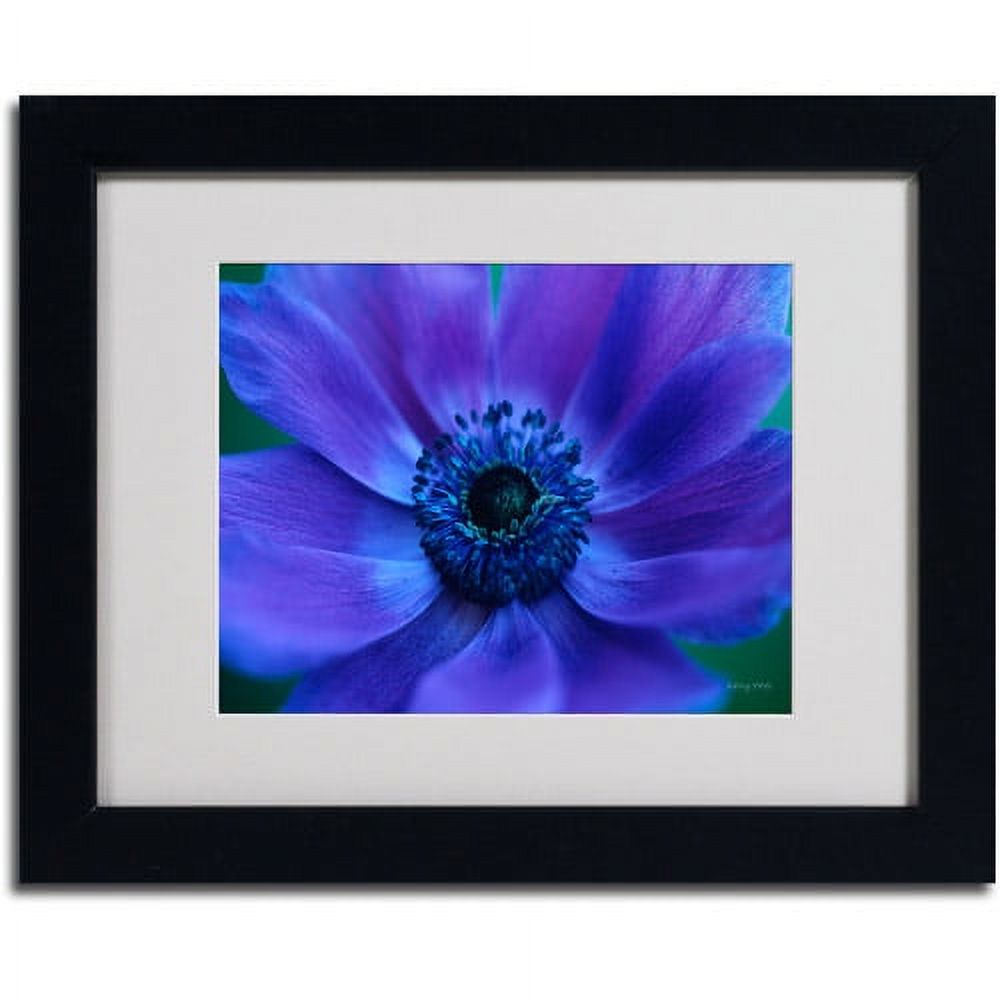 Trademark Fine Art 'Beautiful Anemone' Matted Framed Art by Kathy Yates