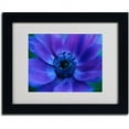 thumbnail image 2 of Trademark Fine Art 'Beautiful Anemone' Matted Framed Art by Kathy Yates, 2 of 2