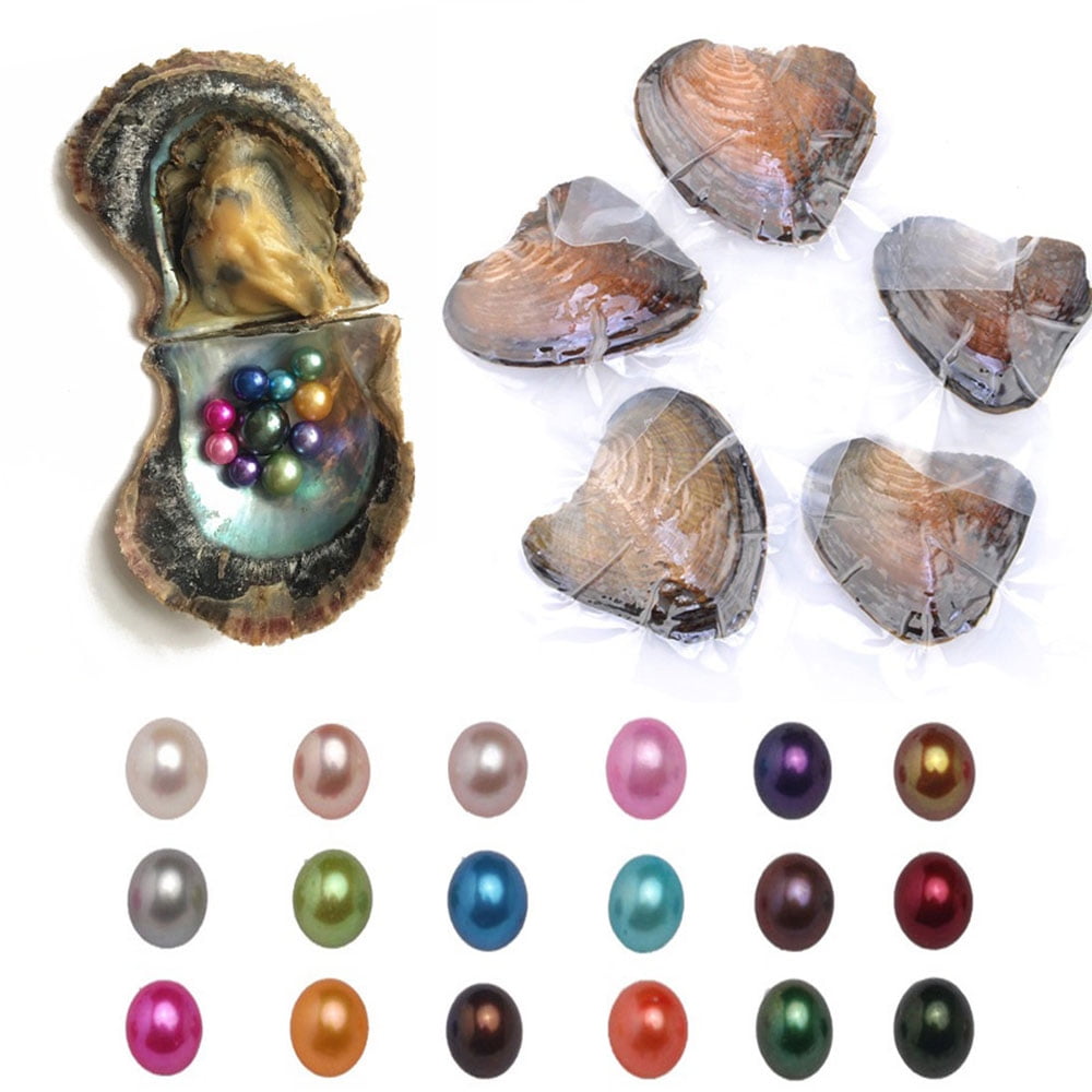 1AED 6pcs Pearl Oyster Smooth Unique Fashion Pearl Mussel 
