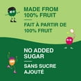 thumbnail image 3 of GoGo squeeZ Fruit Sauce Snack Pouches Variety Pack, Apple Apple, Apple Raspberry Lemon Twist, Apple Mango, No Sugar Added. 90g per pouch, Box of 12 Pouches, 3 of 7