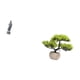 thumbnail image 5 of Adorno De Figura De Guan Yin Con Escultura De árbol Bonsái Artificial, Regalo Tradicional, Estatua De Buda Femenina Y Vegetación Artificial Para Estantería, Armario, Escritorio, Mesa,, 5 of 8