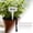 A, variant on Reusable Garden Labels with Marking Pen 20Pcs T Type Tags for Spring Greenhouse Vegetable Seedling