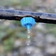 thumbnail image 2 of Goteadores de riego con compensación de presión de 50 piezas, flujo de agua constante, antiobstrucción, emisores de riego por goteo, emisores de goteo, cabezales de riego, 2 of 5