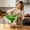 C, variant on Clearance! Zguuel Extra Large Silicone Funnel, Foldable Wide Mouth Funnel for Jars Mylar Food Storage, Green