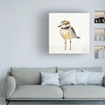 thumbnail image 3 of Jeanette Vertentes 'Coastal Plover II Linen' Canvas Art, 3 of 4
