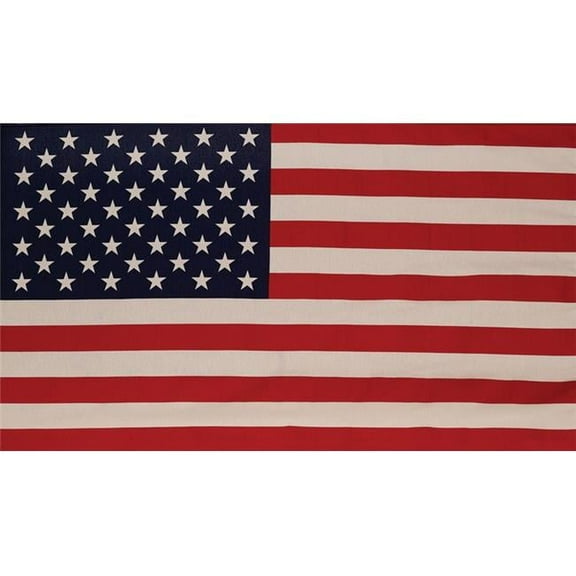 Flag  29 x 50 in. Sleeved American USA Flag