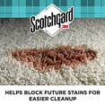 thumbnail image 4 of Scotchgard Rug and Carpet Cleaner, 2 Pack, 14 oz, 4 of 5