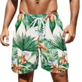 thumbnail image 1 of Aayomet Swim Trunks Men Up Pocket Hot Spring Holiday Beach Beach Pants Swimming Trunks Shorts (Green, L), 1 of 5