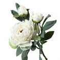 thumbnail image 2 of Cheers US Artificial Peonies,Silk Peony Fake Flower for Wedding Home Office Party Hotel Window Sill Decoration, Table Centerpieces, Floral Arrangements, 2 of 7