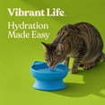 thumbnail image 4 of Vibrant Life 0.8-Cup Plastic Elevated Cat Ear Bowl, Blue, 4 of 8