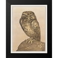 thumbnail image 2 of Hoytema, Theo van 12x14 Black Modern Framed Museum Art Print Titled - Little owl on rock, 2 of 5