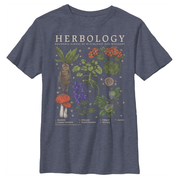 Boy's Harry Potter Hogwarts Herbology Graphic Tee Navy Blue Heather Small