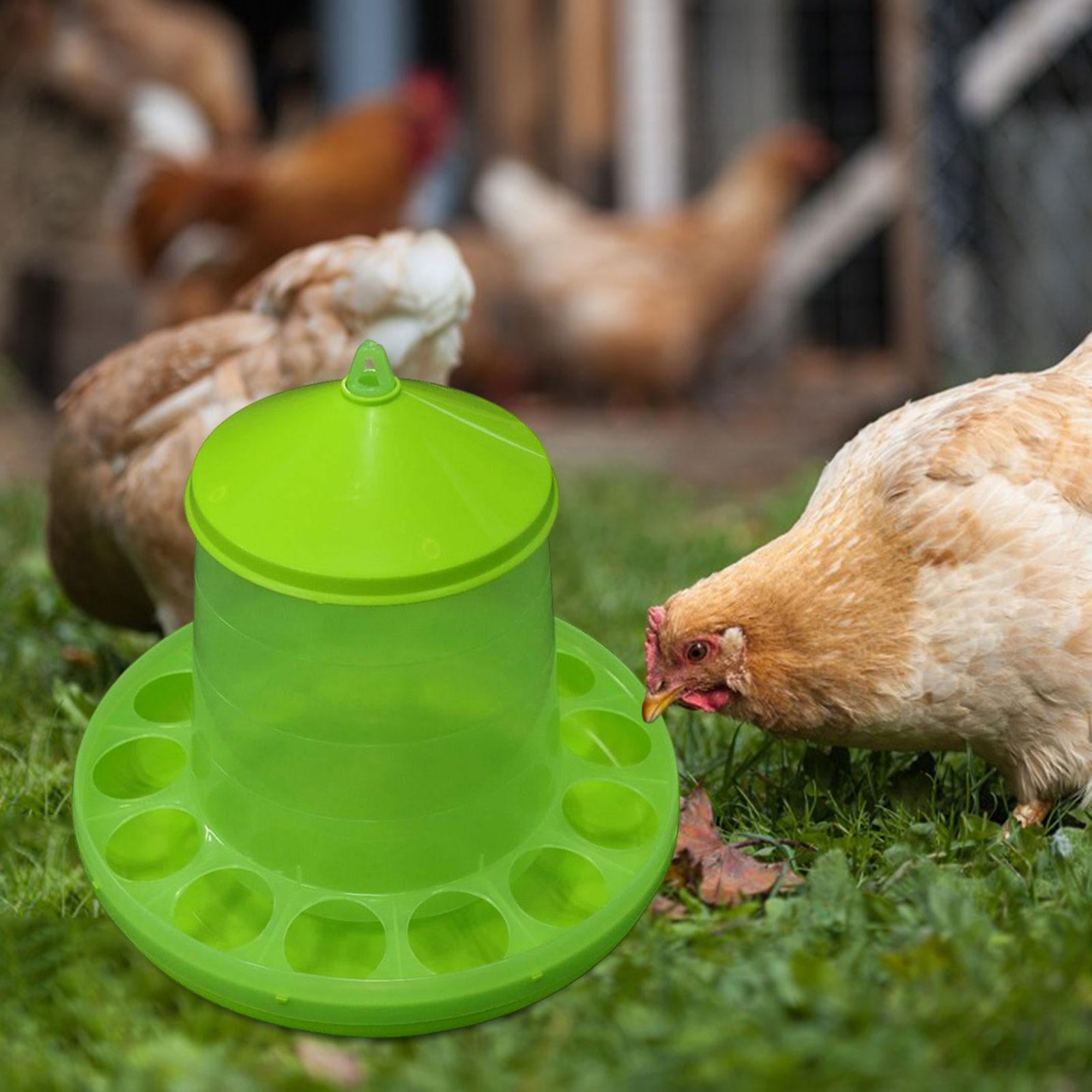 Automatic Poultry Feeder Watering Feeding Container Food Dispenser