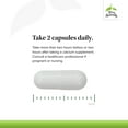 thumbnail image 4 of Terry Naturally Strontium 60 Capsules, 4 of 7