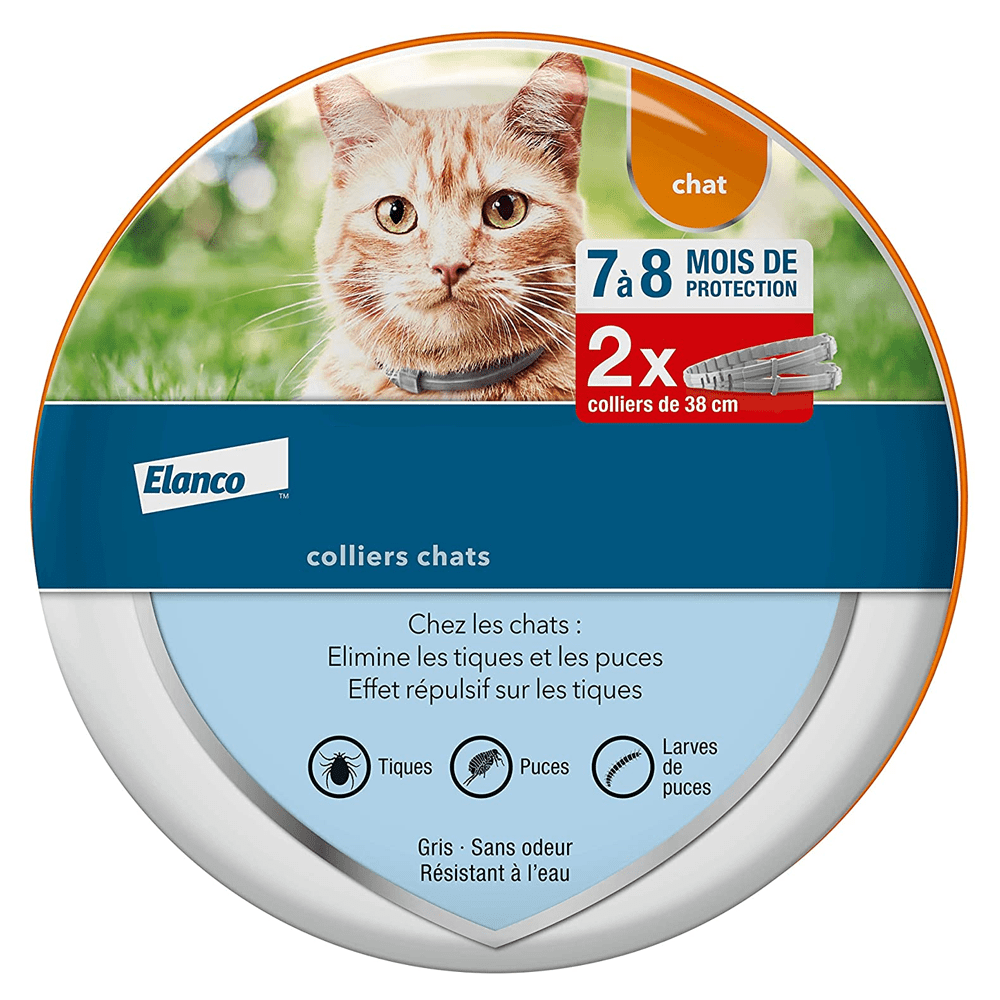 Queto Collier Anti Puces Et Anti Tiques Pour Chats 2 Colliers Walmart Canada Queto Collier Anti Puces Et Anti Tiques Pour Chats 2 Colliers Walmart Canada