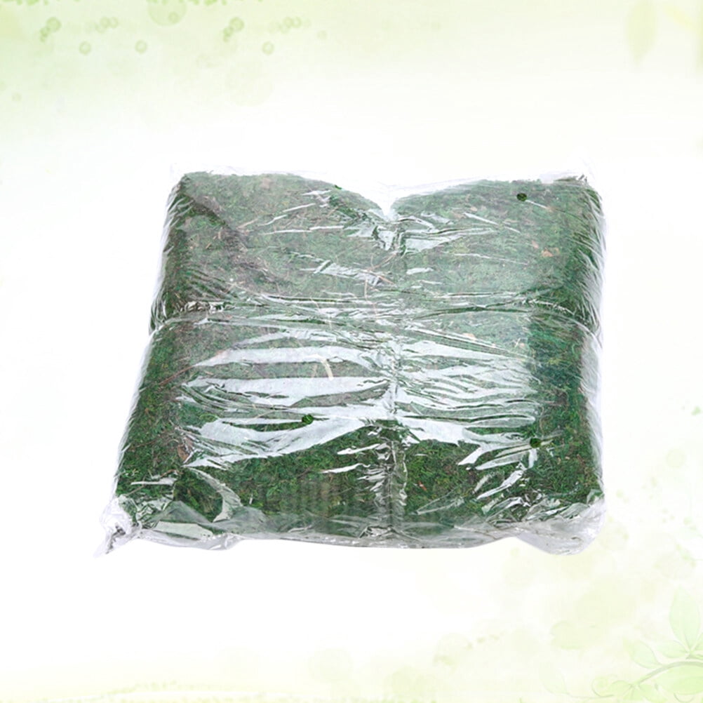 FRCOLOR Artificial Moss Craft Artificial Moss Lichen Green Synthetic Material 1Pack Relieve Eye Fatigue Kitchen