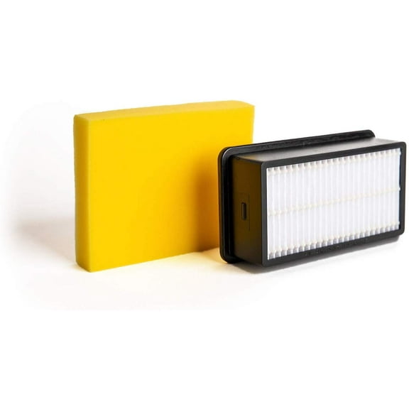 Green Label Filter Kit 1008 for Bissell CleanView Vacuum Cleaners: Pre Motor (2032662) and Post Motor (2032663) Filters