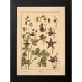 thumbnail image 2 of Vintage Apple Collection 14x18 Black Modern Framed Museum Art Print Titled - Plate 10 - Columbine, 2 of 5