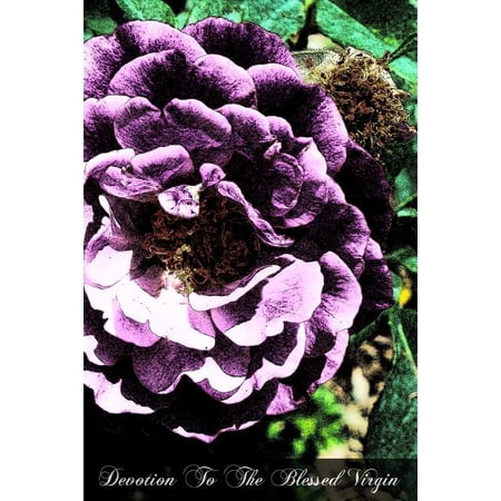 Devotion To The Blessed Virgin: Being The Substance Of All The Sermons For Mary s Feasts Throughout The Year (Paperback)