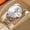 856 Sl Wh s, variant on POEDAGAR Men Watch Sport Chronograph Quartz Watches Luxury Full Steel Waterproof Luminous Date Man Fashion Wristwatch
