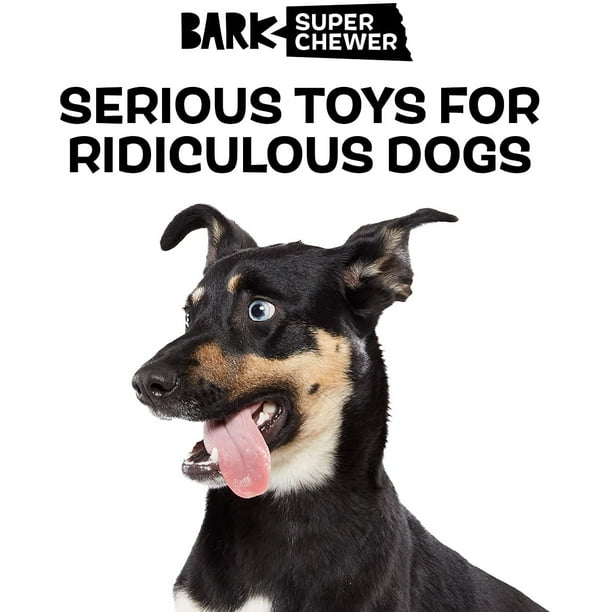 Barkbox tough chewers sale