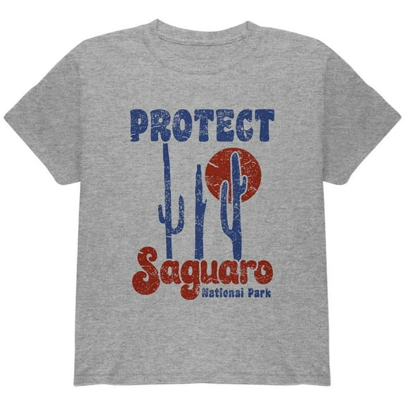 National Park Retro 70s Landscape Protect Saguaro Youth T Shirt Heather YLG